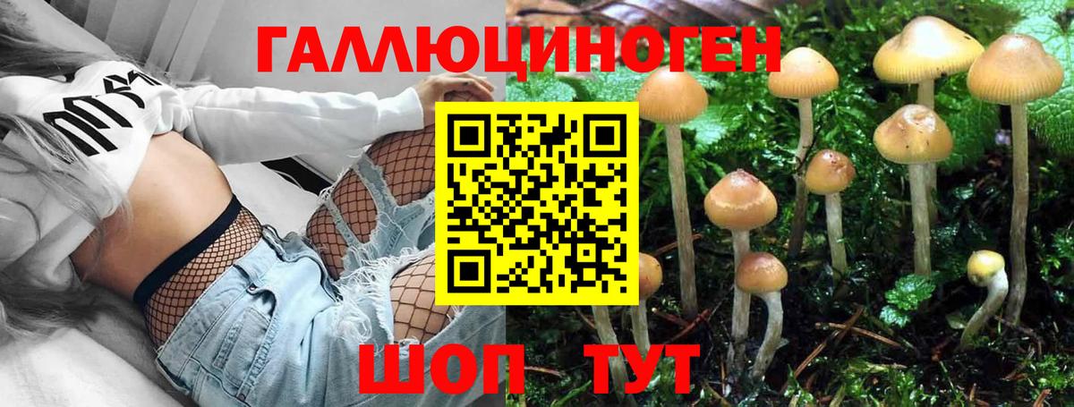 Находка  Галлюциногенные грибы мицелий  Вход с VPN 