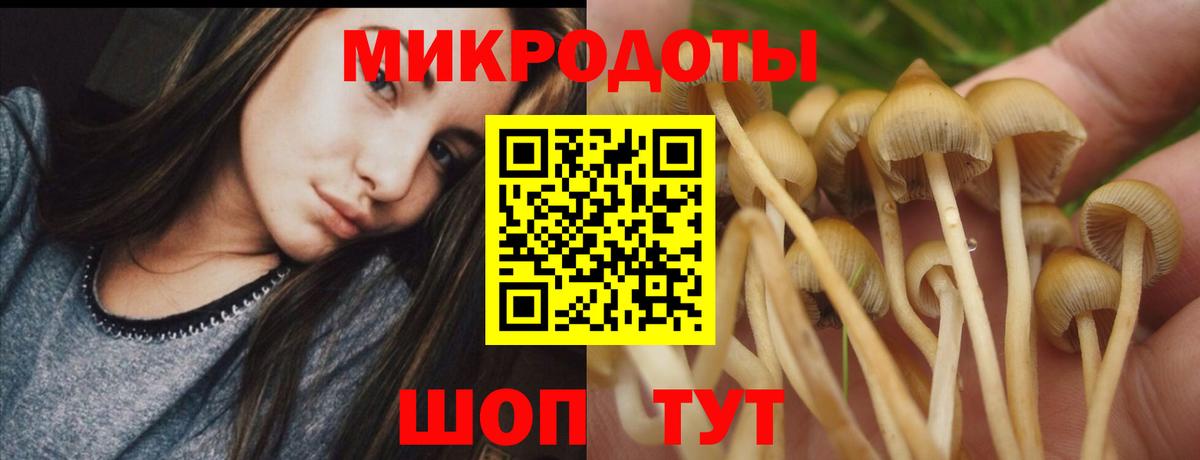 Галлюциногенные грибы GOLDEN TEACHER Находка